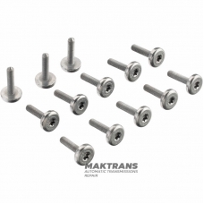 ZF 8HP45, 8HP70, 8HP65A, 8HP90, 8HP90A Plastic Oil Pan Bolt Set - 13 Bolts Per Set