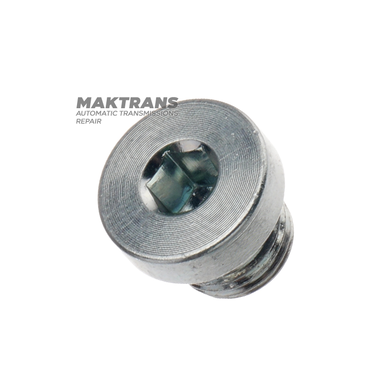 Threaded plug (hex) - M10 x 1, (S1010, 50136001)