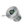 Threaded plug (hex head) - M12 x 1.5, (S1012, 50136002)