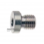 Threaded plug (hex head) - M12 x 1.5, (S1012, 50136002)