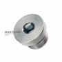 Threaded plug (hex head) - M18 x 1.5, (S1018, 50136005)