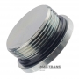 Threaded plug (hex) - M48 x 2, (S1048, 01066025)