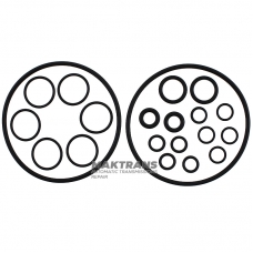 Seals and other rubber ring kit DQ250 02E DSG 6spd