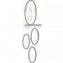 Teflon ring kit 6L80E 6L90E 06-12 24224655 24248581