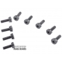 Oil pump under bearing, automatic transmission AW TR-60SN 09D 04-up 
